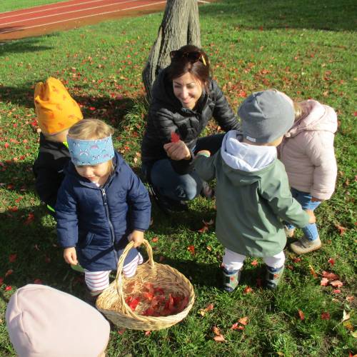 Der Herbst ist da!