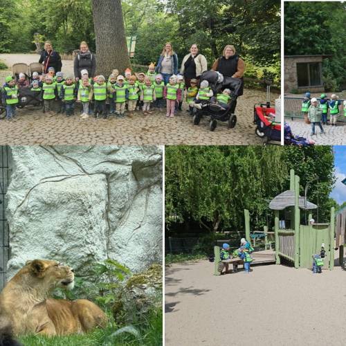 Ausflug in den Tiergarten Straubing
