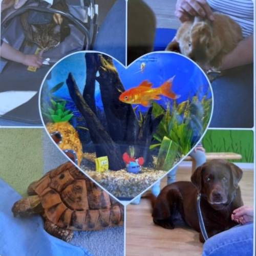 Im Mäusenest ist tierisch was los!